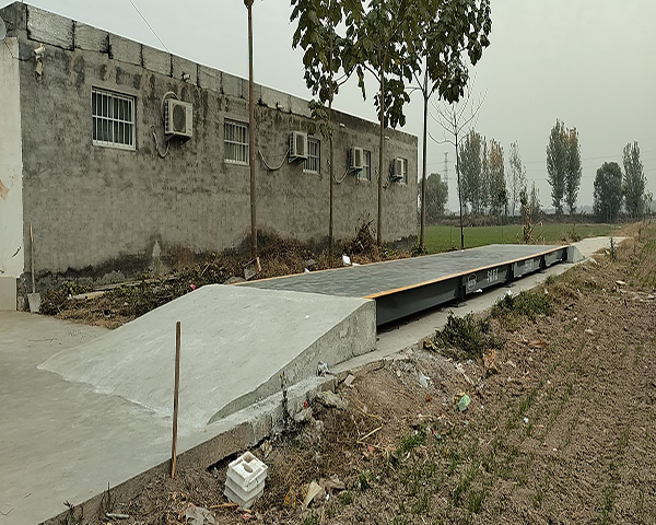 電子汽車(chē)衡標(biāo)準(zhǔn)與規(guī)程情況概述