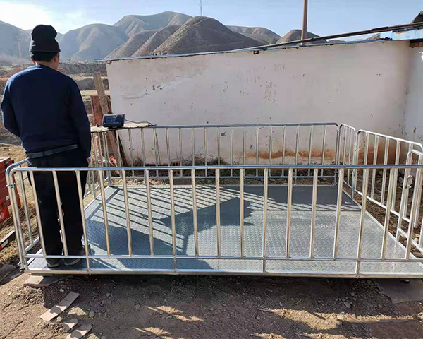 帶圍欄畜牧稱價格  畜牧稱供應