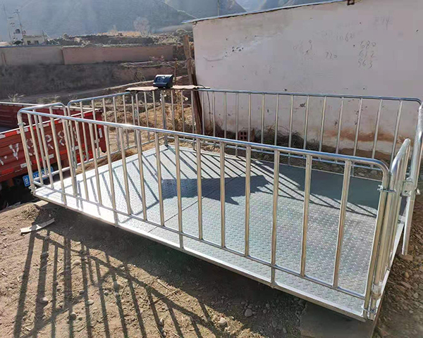 帶圍欄畜牧稱價格  畜牧稱供應