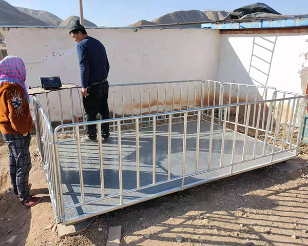 帶圍欄畜牧稱價格  畜牧稱供應