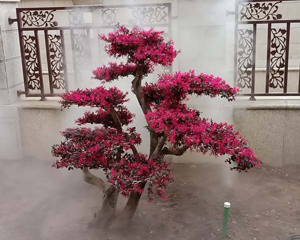 霧森系統(tǒng)價(jià)格、三門峽霧森報(bào)價(jià)